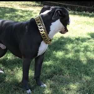 LUXURY CUBAN LINK DOG CHAIN